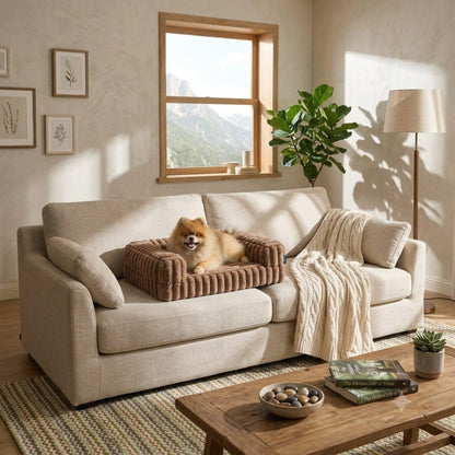 toutou dans Canapé pour chien XXL sur sofa