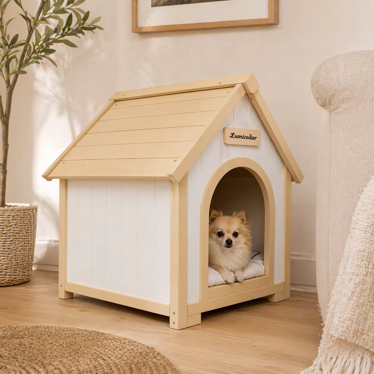 toutou dans cabane d'intérieur pour chien