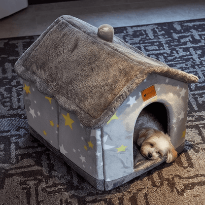 toutou dans cabane d'intérêt pour chien