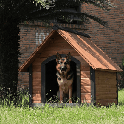 toutou dans cabane en bois pour chien solide
