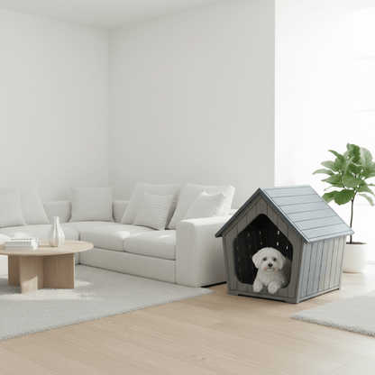 toutou dans cabane pour chien dans salon moderne élégant