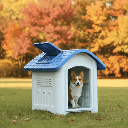 toutou dans cabane pour chien extérieur dans parc