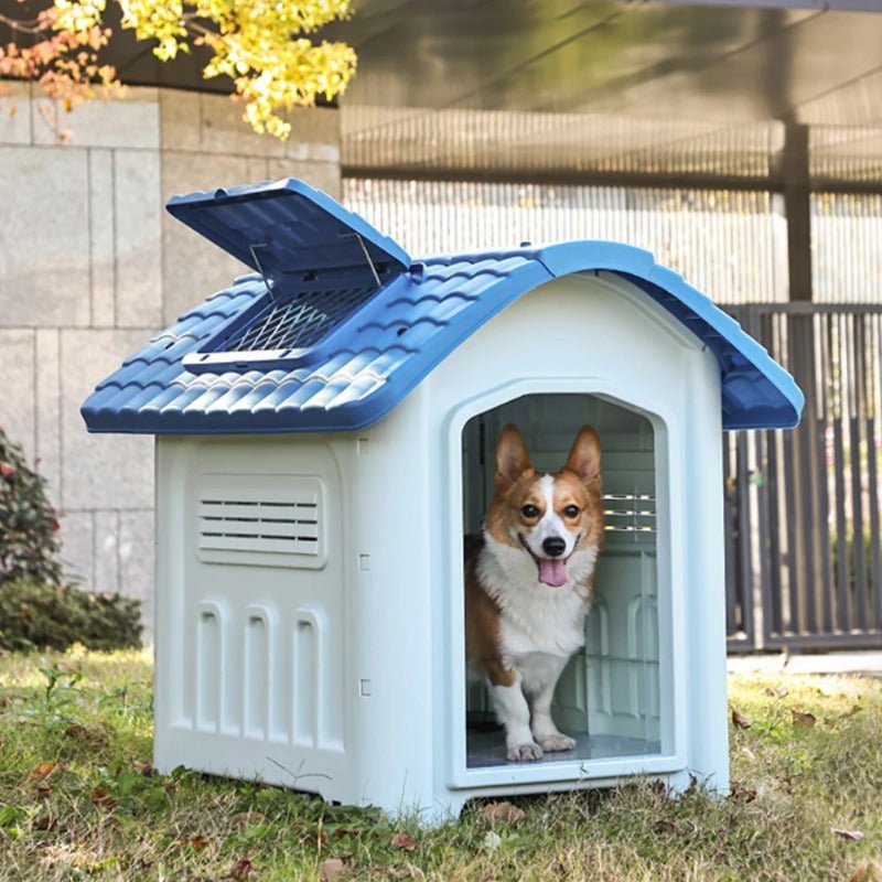 toutou dans cabane pour chien_ extérieur toit ouvrant