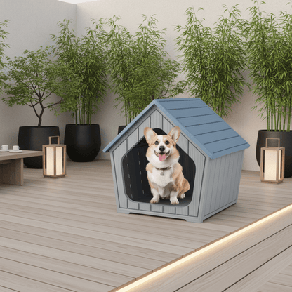 toutou dans cabane pour chien sur la terrasse