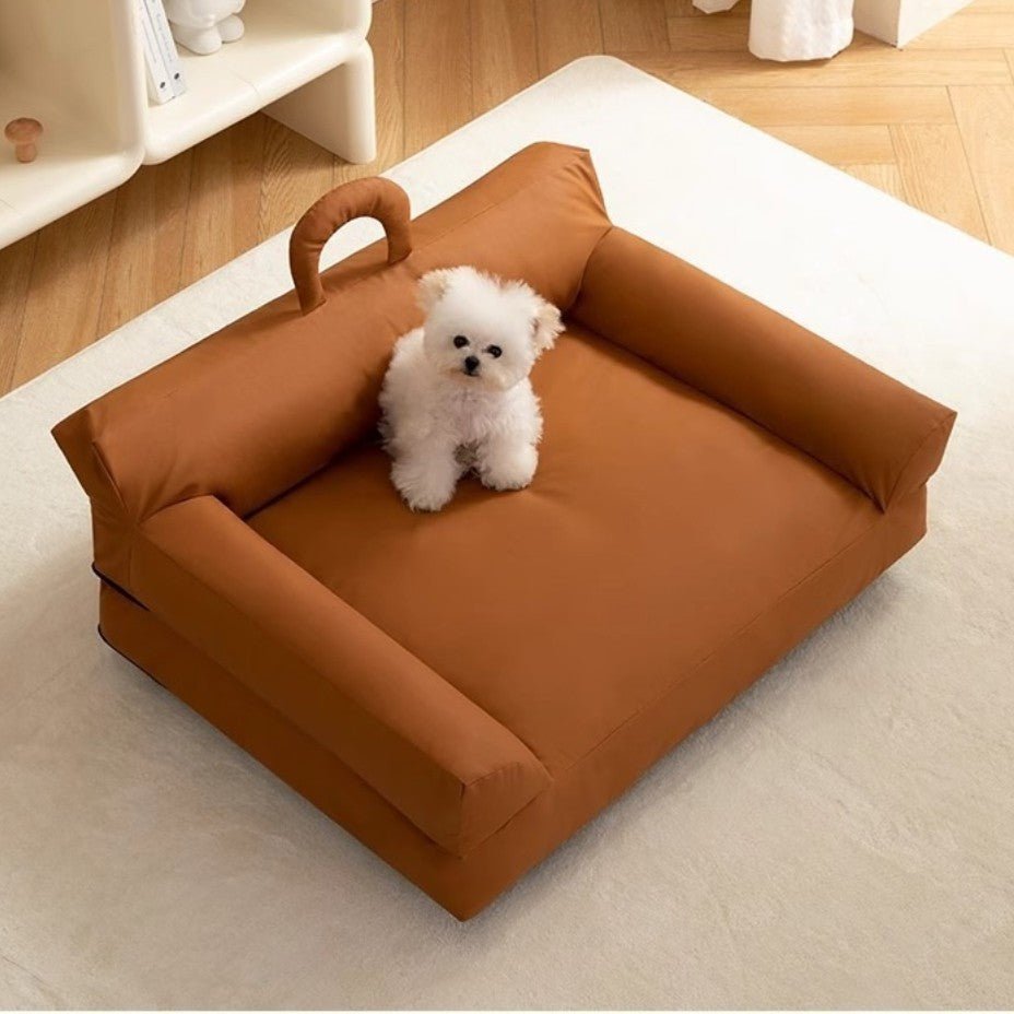 toutou dans canapé orthopédique chien imperméable