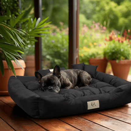 toutou dans canape chien xxl Anti-allergique