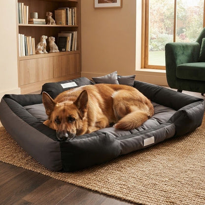 toutou dans canape chien xxl avec coussin 