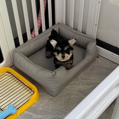 toutou dans canape orthopédique gris pour chien doux