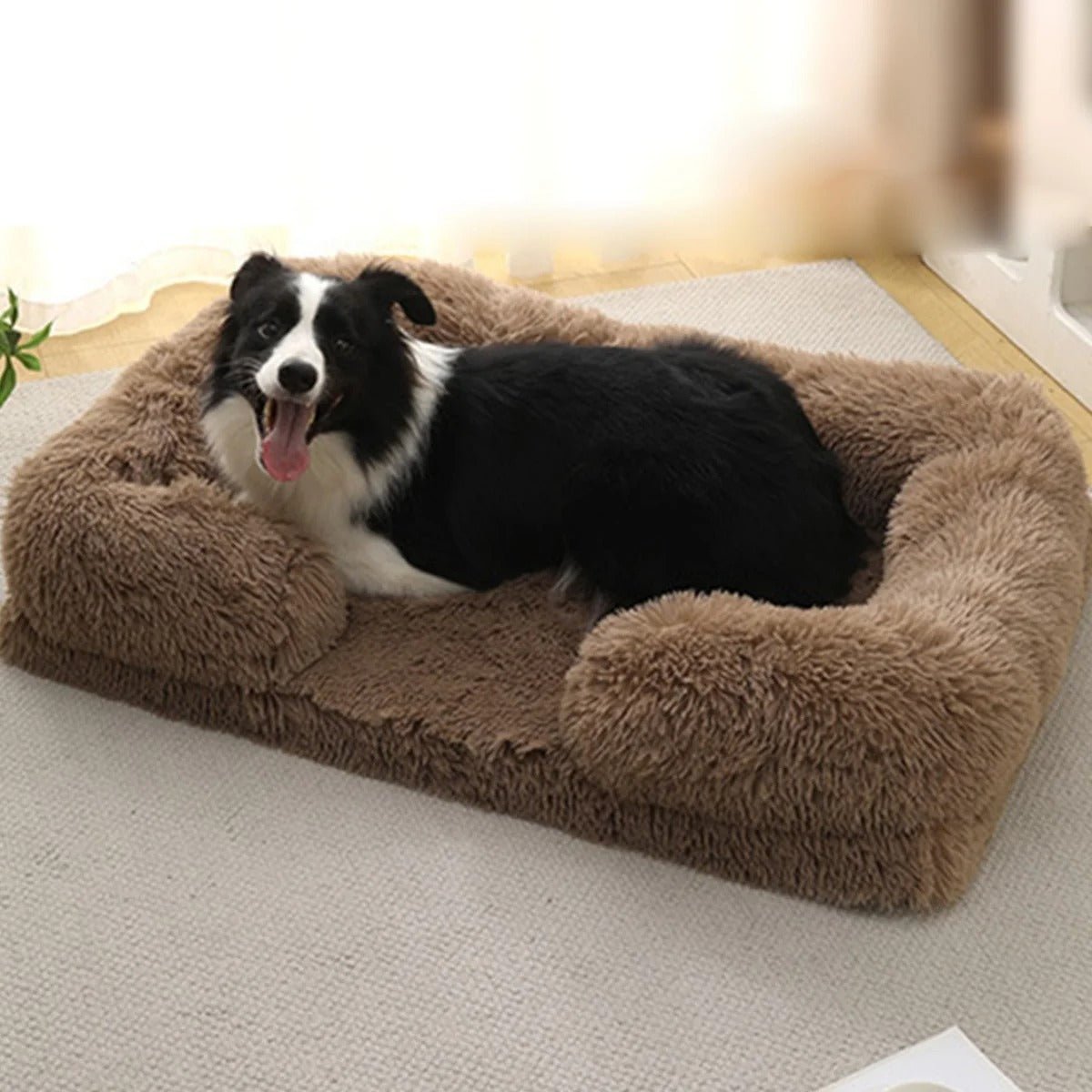toutou dans canape pour chien carré marron