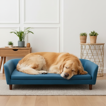 toutou dans canape pour chien grand taille