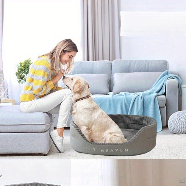 toutou_dans_canape_pour_chien maitresse joue