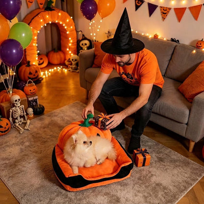 toutou dans canape pour petit chien citrouille orange