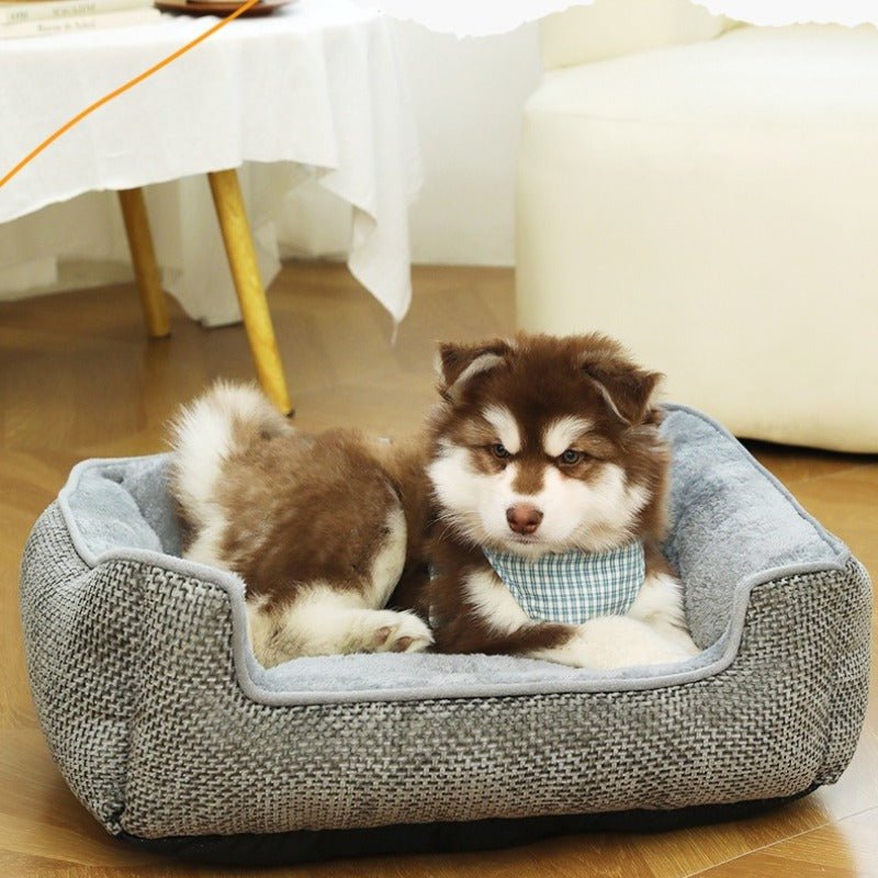 toutou dans chien couchage en treillis gris