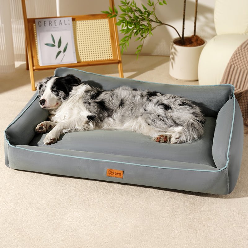 toutou dans couchages pour chien confortable