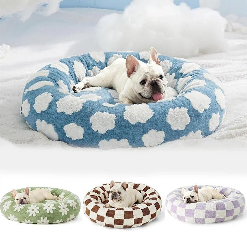 toutou dans_coussin_chien_bleu_nuage