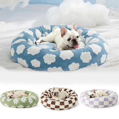 toutou dans_coussin_chien_bleu_nuage