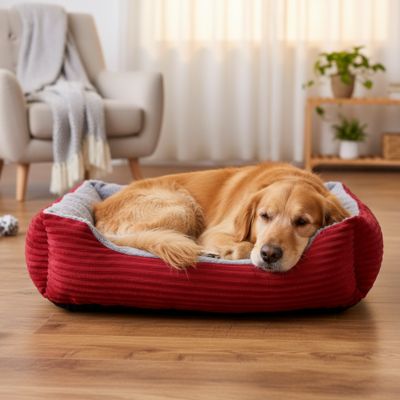 toutou dans coussin chien carrée en peluche