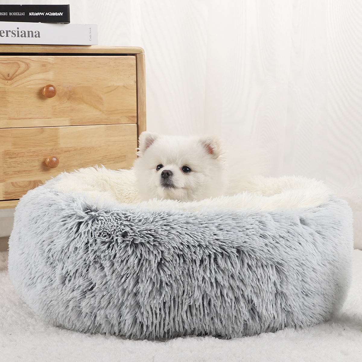 toutou dans coussin chien doux et moelleux