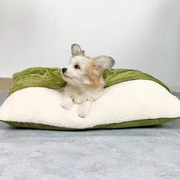 toutou dans coussin chien en polaire