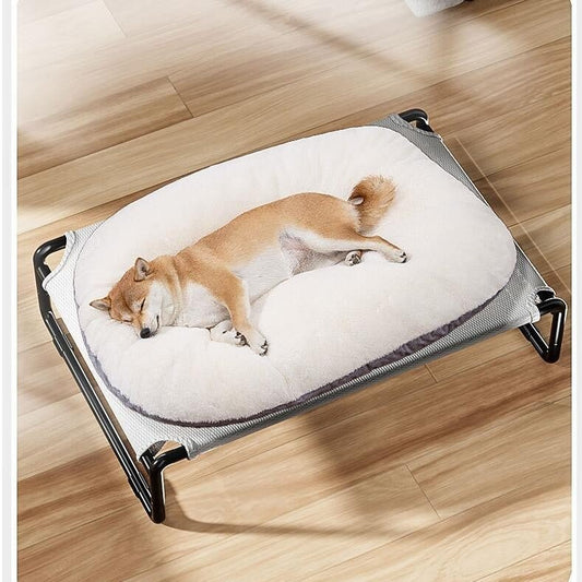 toutou dans coussin sur littéralement surélevé chien 