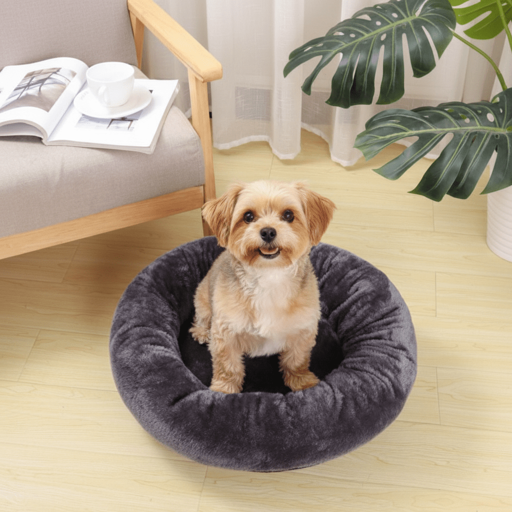 toutou dans coussins pour chiens en coton