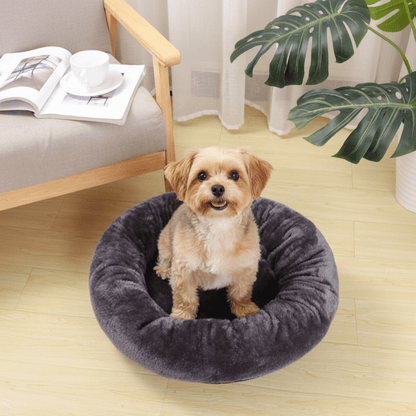 toutou dans coussins pour chiens en coton