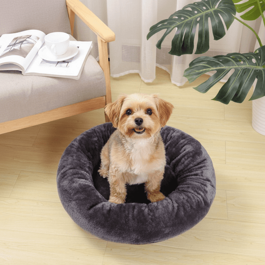 toutou dans coussins pour chiens en coton