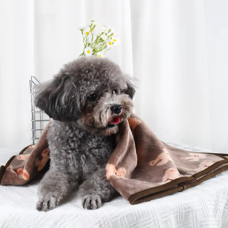 toutou dans couverture chien en corail motif ours