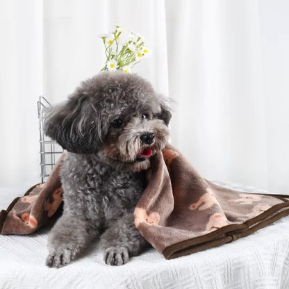 toutou dans couverture chien en corail motif ours