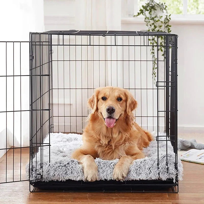 toutou dans la cage sur matelas pour chien déhoussable