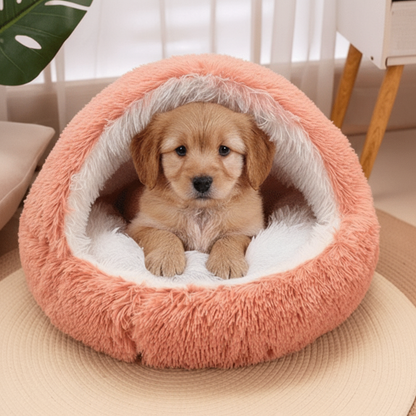 toutou dans le panier igloo pour chien doux