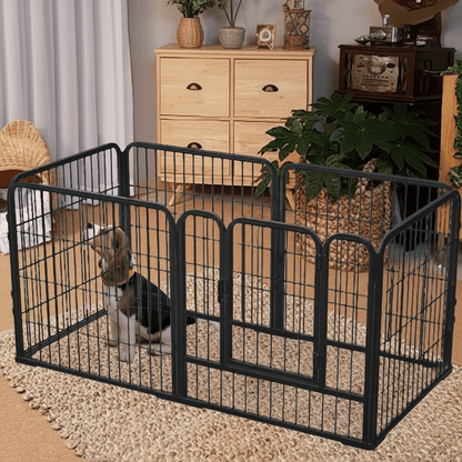 toutou dans le parc pour chien robuste