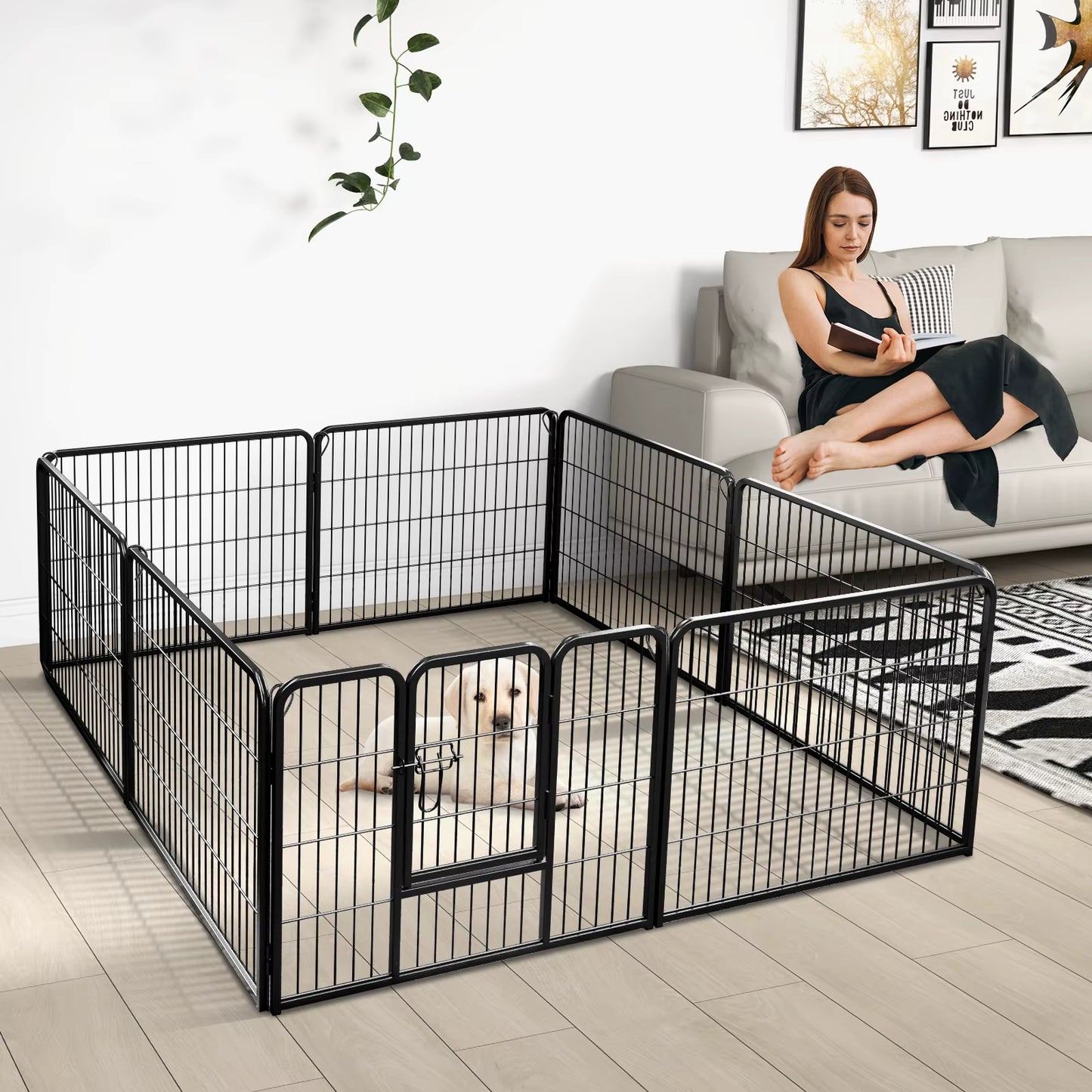 toutou dans le parc pour chiens a cote de sa maitresse
