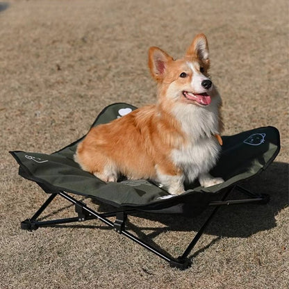 toutou assis dans lit_de camp chien