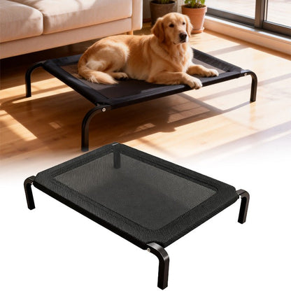 toutou dans lit de camp chien dans salon