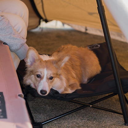 toutou dans lit de camp chien sous la tente adulte
