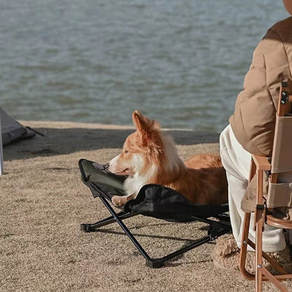 toutou dans  lit de camp chien sur la plage avec son maitre