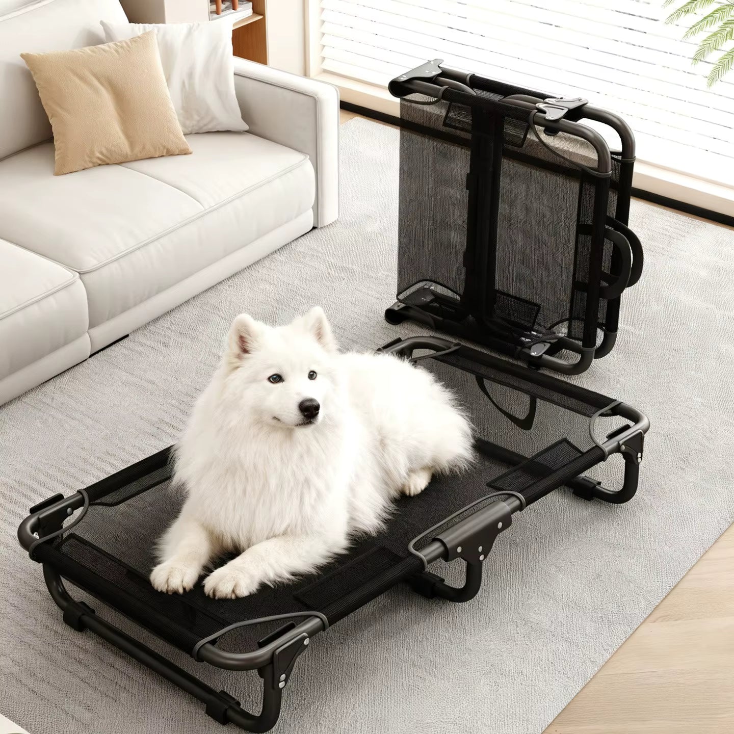 toutou dans lit de camp pour chien XL lavable