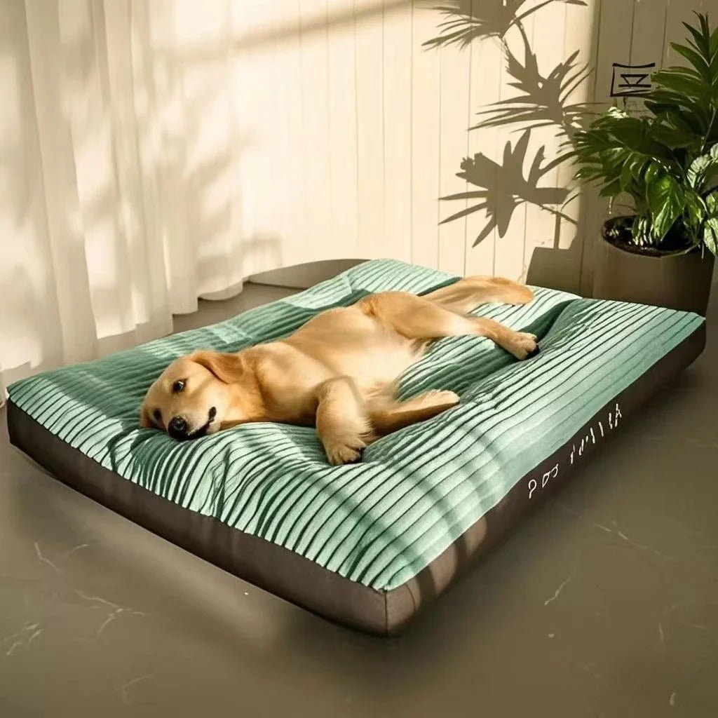  toutou dans lit pour chien dans la terrasse 