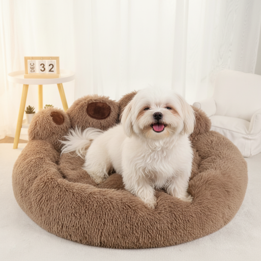 toutou dans lit pour chien en peluche_cafe