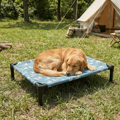 toutou dans lit pour chien surélevé dans jardin