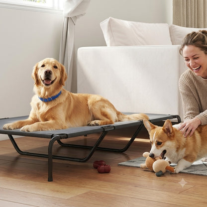 toutou dans lit pour chien xxl surélevé avec la maman 