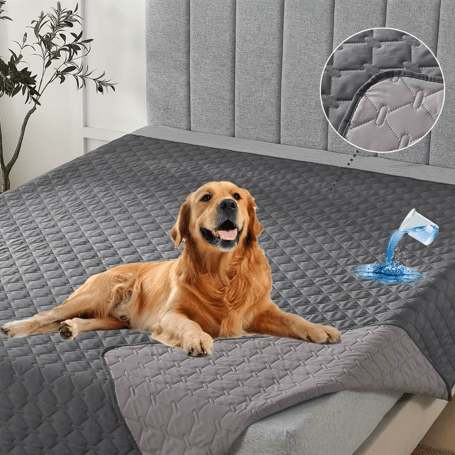 toutou dans lit sur couverture chien imperméable
