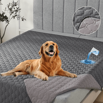 toutou dans lit sur couverture chien imperméable
