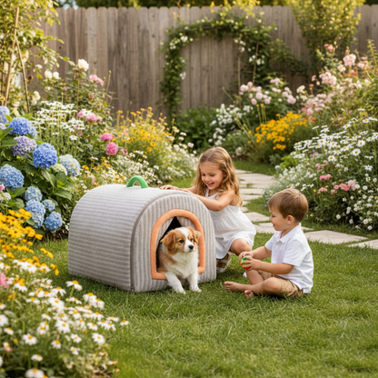 toutou dans maison chien intérieur dans jardin