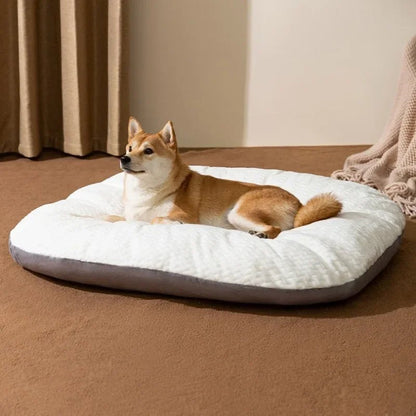 toutou dans matelas déhoussable pour chien confortable