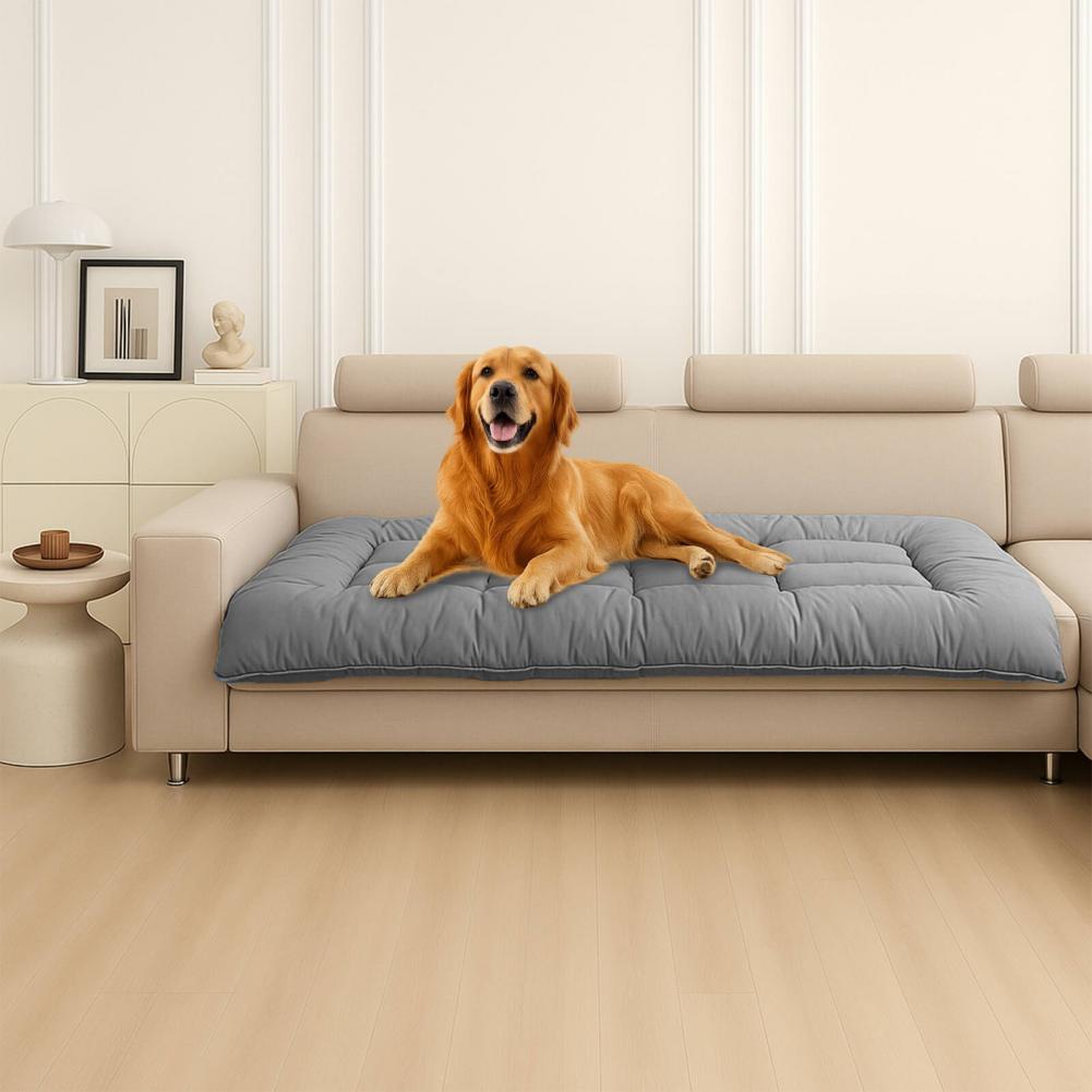 toutou dans matelas rafraichissant pour chien sur le canapé
