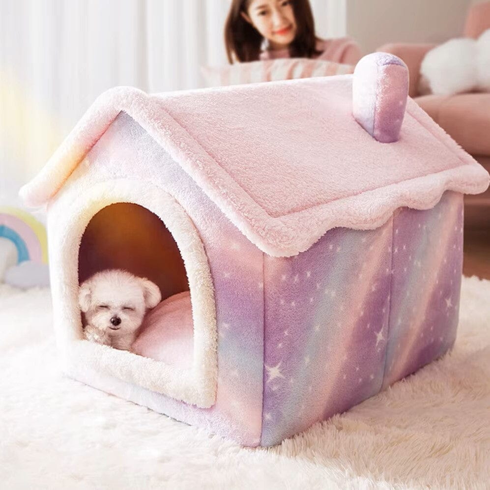 toutou dans niche chien en peluche dans salon 
