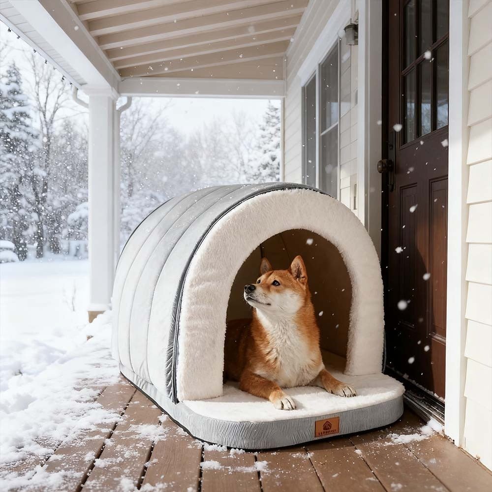 toutou dans niche igloo pour chien coupe vent