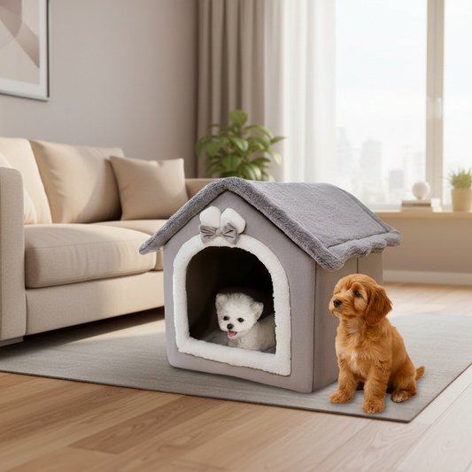 toutou dans niche intérieure petit chien dans salon